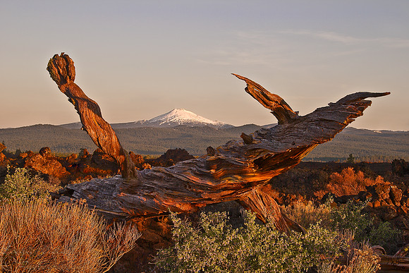 MT. BACHELOR HIGH DESERT