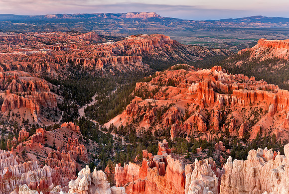 ENCHANTING CANYON