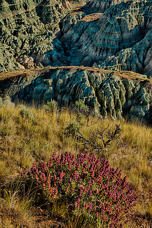 BASIN RIM TRAIL