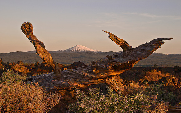LAVA BUTTE
