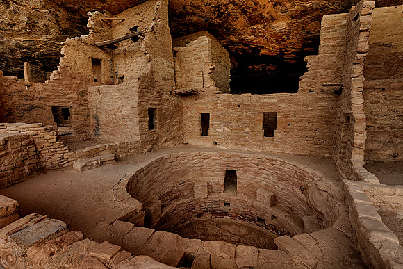 SPRUCE TREE HOUSE