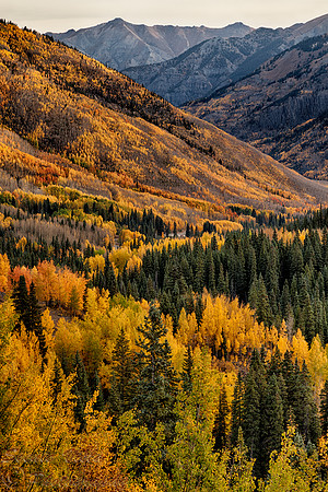 ASPEN SCENIC