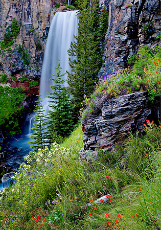 TUMALO FALLS BLOOM