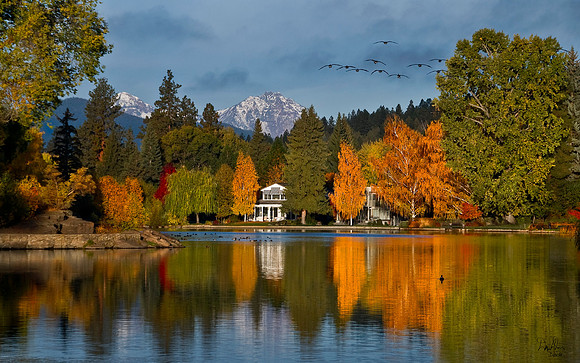 MIRROR POND