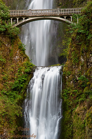 MULTNOMAH FALLS 3