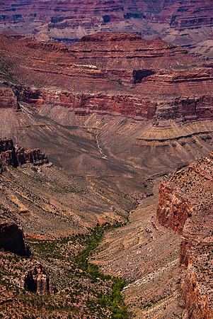MATHER TRAIL