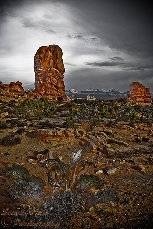 DESERT STORM