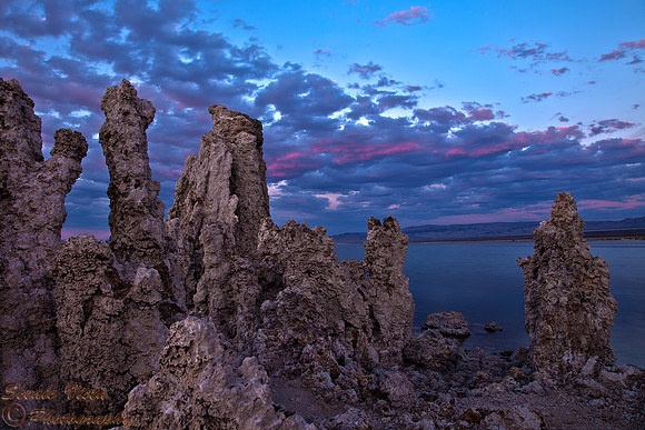 MONO TWILIGHT