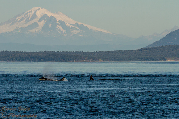 PASSING MT. BAKER