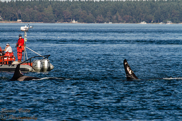 NOAA RESEARCH BOAT