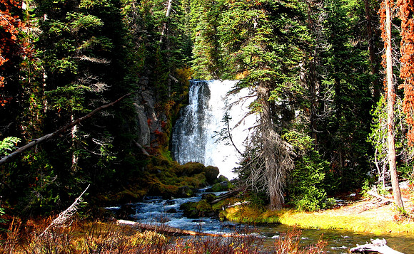 FALL CREEK FALLS