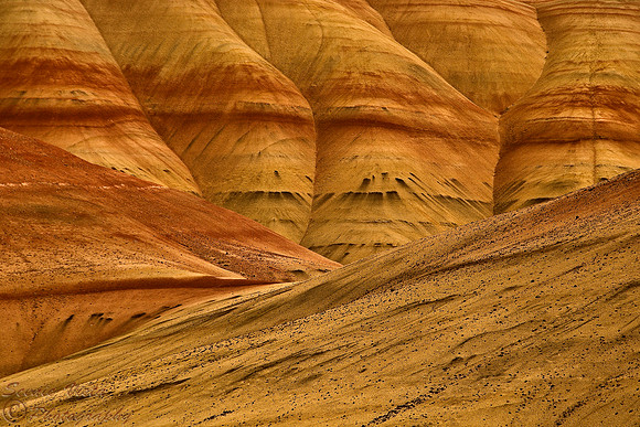 PAINTED CONTOURS