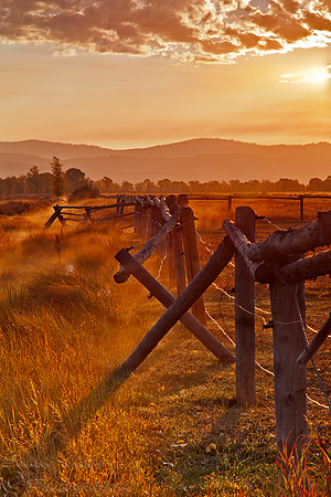 BROKEN FENCE