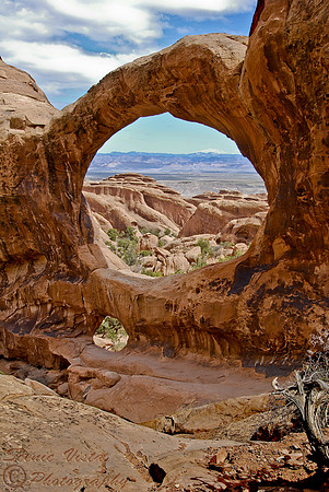 DOUBLE O ARCH