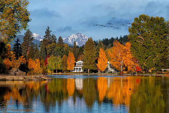 MIRROR POND