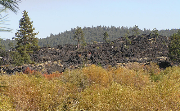 BENHAM TRAIL