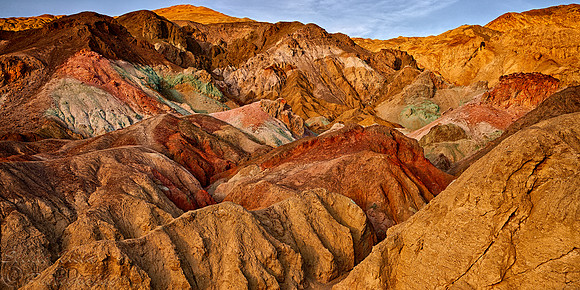 ARTIST'S PALETTE